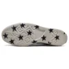 Chuck 70 Low „Archival Stars Print“