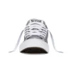 Chuck Taylor All Star Low „šedá bílá“