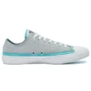 Chuck Taylor All Star Low „Summer Daze – Ash Stone“