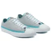 Chuck Taylor All Star Low „Summer Daze – Ash Stone“