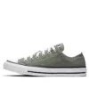 Chuck Taylor All Star Seasonal Color Low Top „Gray White“