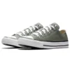 Chuck Taylor All Star Seasonal Color Low Top „Gray White“