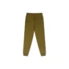 Go-To Embroidered Star Chevron Standard-Fit Fleece Sweatpant Asia Sizing „Green“