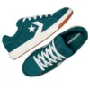 Pro Blaze Classic Low „Darkly Jaded“