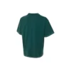 Tričko Skateboard Wash, asijské velikosti „Dark Green“